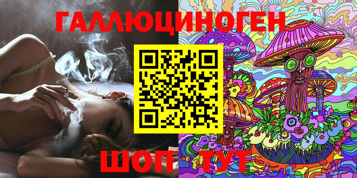 Галлюциногенные грибы Psilocybine cubensis Качканар