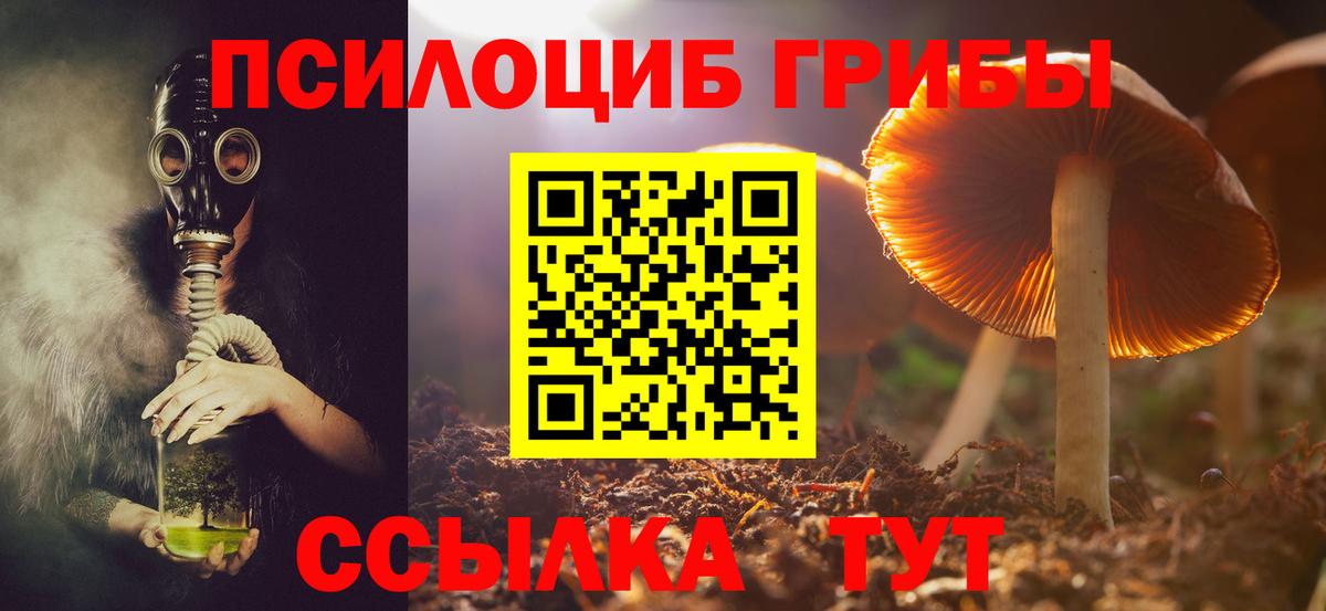 Качканар  Галлюциногенные грибы MAGIC MUSHROOMS  Вход с VPN  Галлюциногенные грибы Psilocybine cubensis 
